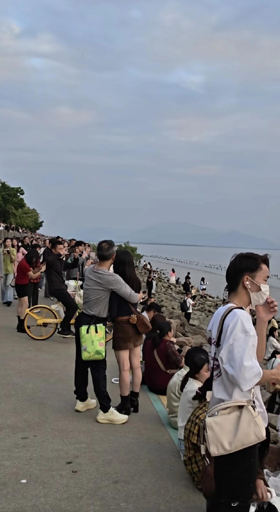 来深圳湾公园看海鸥，结果是这个场景，海鸥没有看到，秀恩爱的情侣倒是很多对，海鸥呢