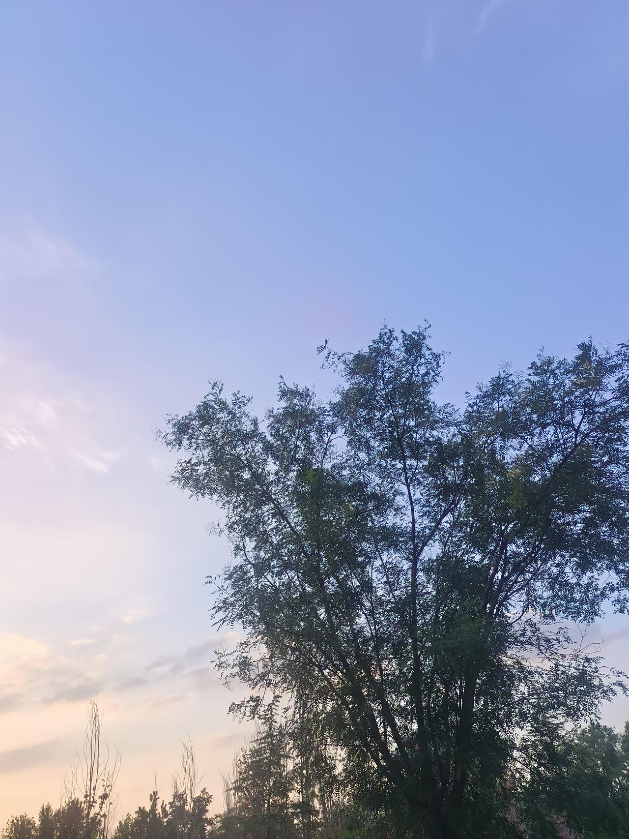 释怀后再见了曾经很爱的人是什么感觉？有的人说尴尬，然后没有什么感觉，只想逃离，还