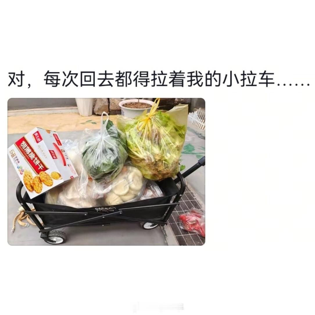 嫁出去的女儿泼出去的鸡鸭鱼肉