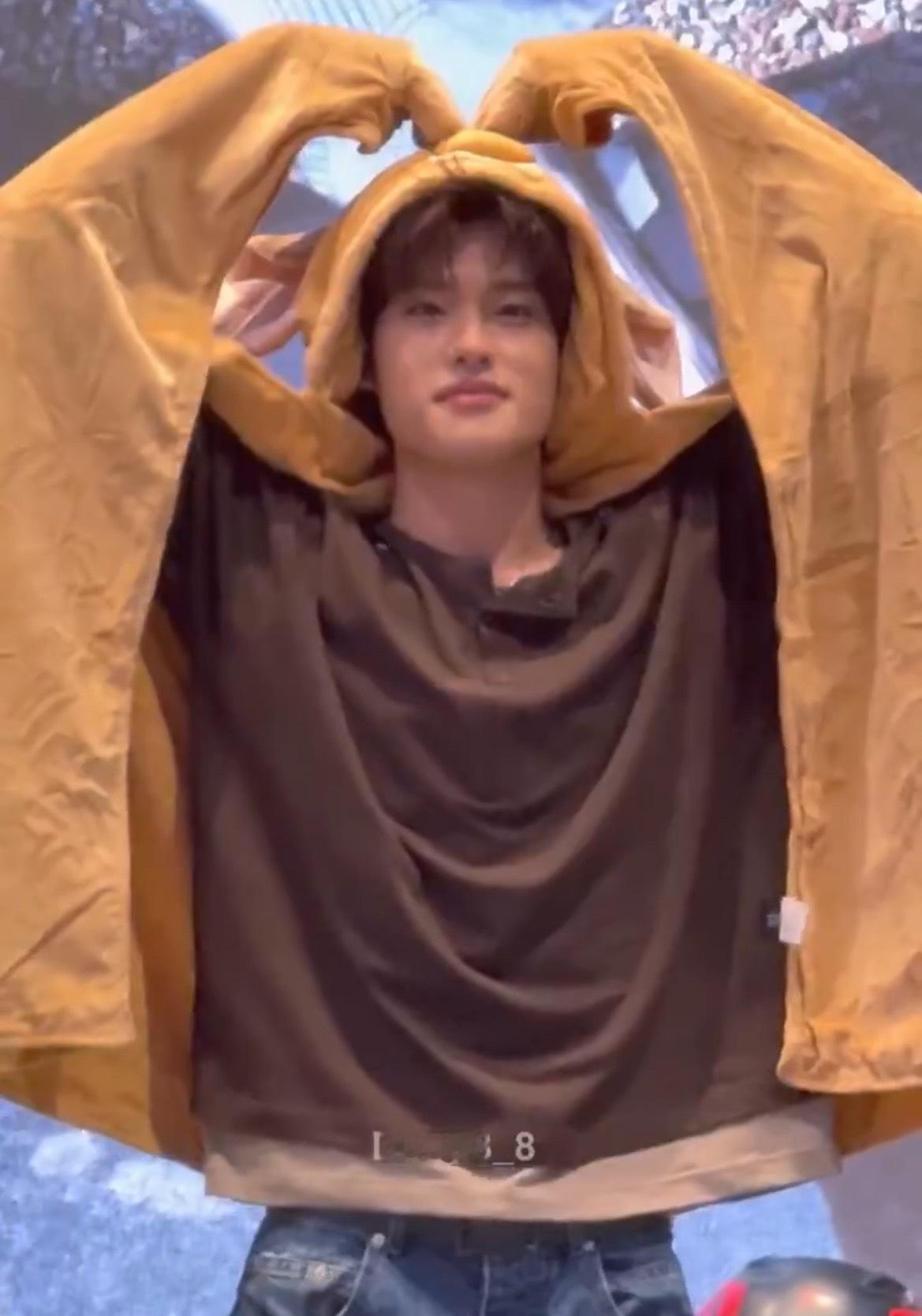 会比大大爱心的小笨蛋