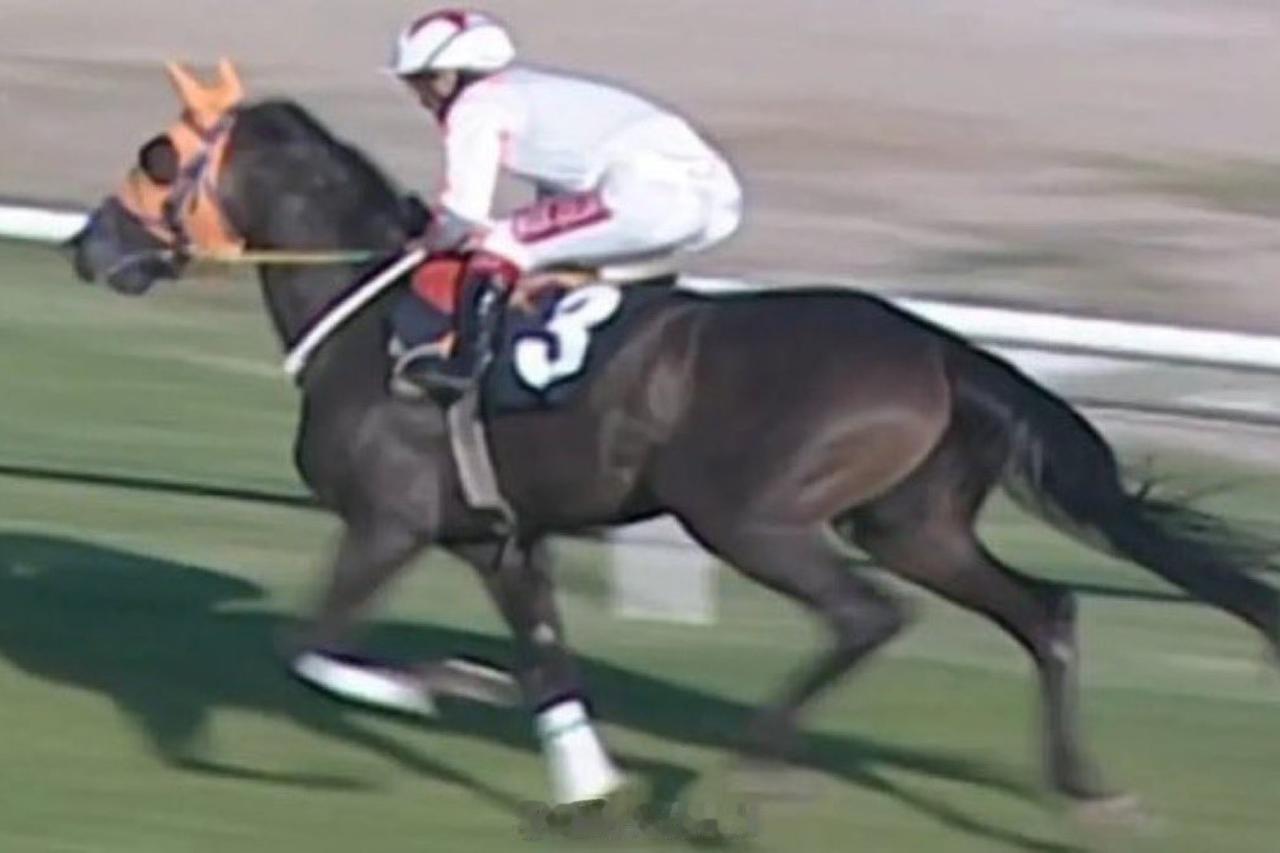 在土耳其当地一间派发免费热食的救济中心，有食客在进食传统土耳其炒肉块时，意外咬出