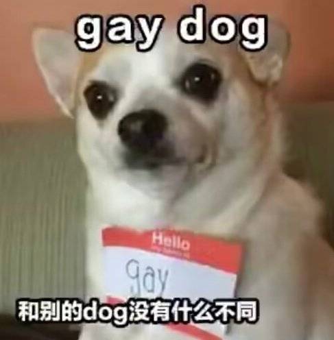 瓶某些角度真的跟安纳金好像啊……但区别就在于氛围…… 