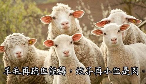 #9毛9的羊毛不香吗#现在9毛9能买到个啥，一包辣条都要1块了。不过这次618，
