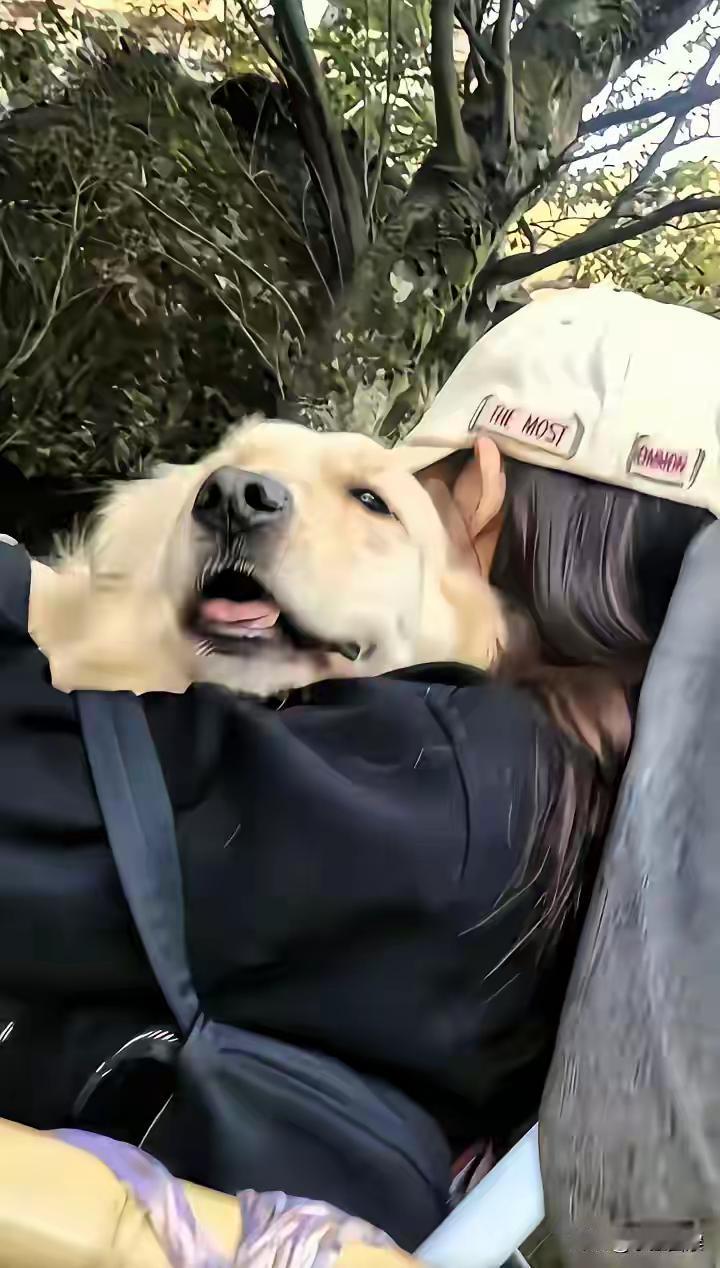 下面几张图片，心里很不是滋味，五味杂谈。拉洋车、抬骄子的，这些旧中国封建帝制和民