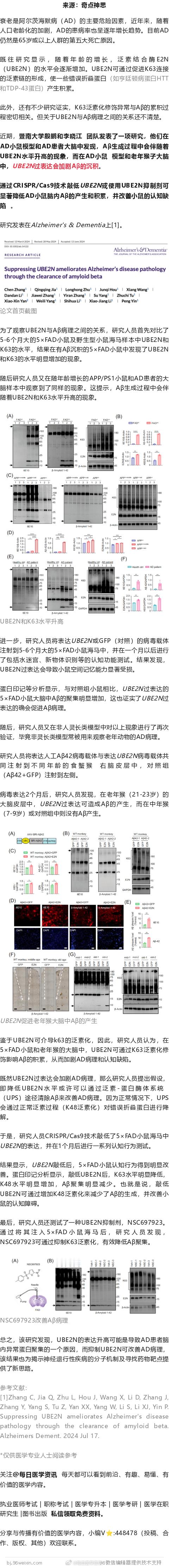 AD：暨南大学发现全新阿尔茨海默病治疗靶点UBE2N！可有效降低Aβ积累、改善认