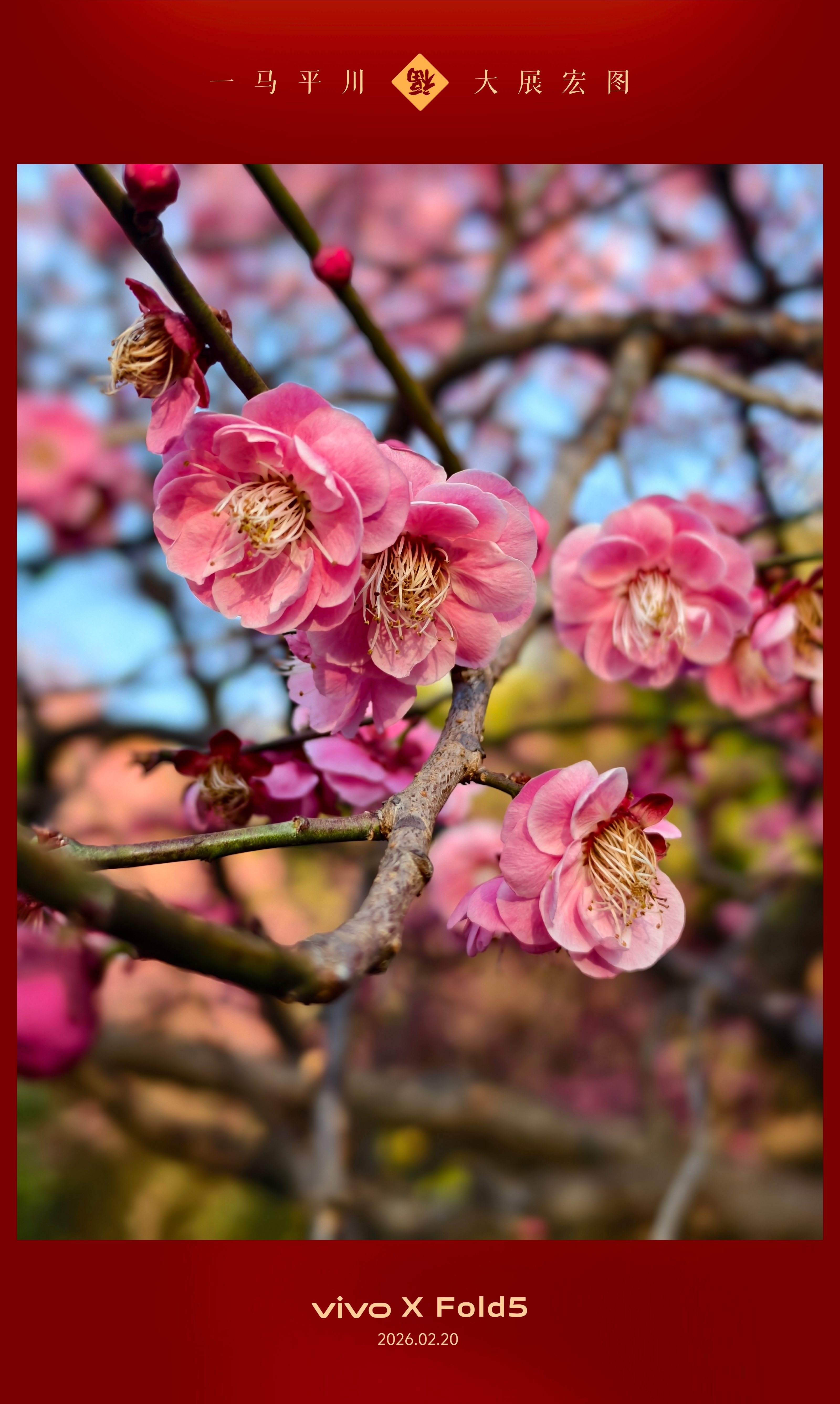 杭州今天最高25度！你们那边几度？ 