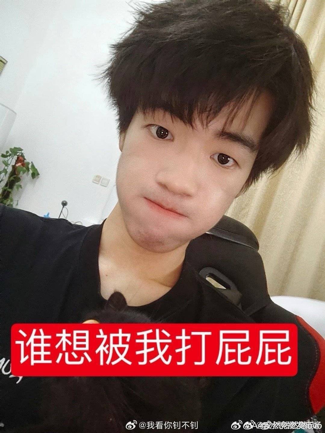 分享图片 