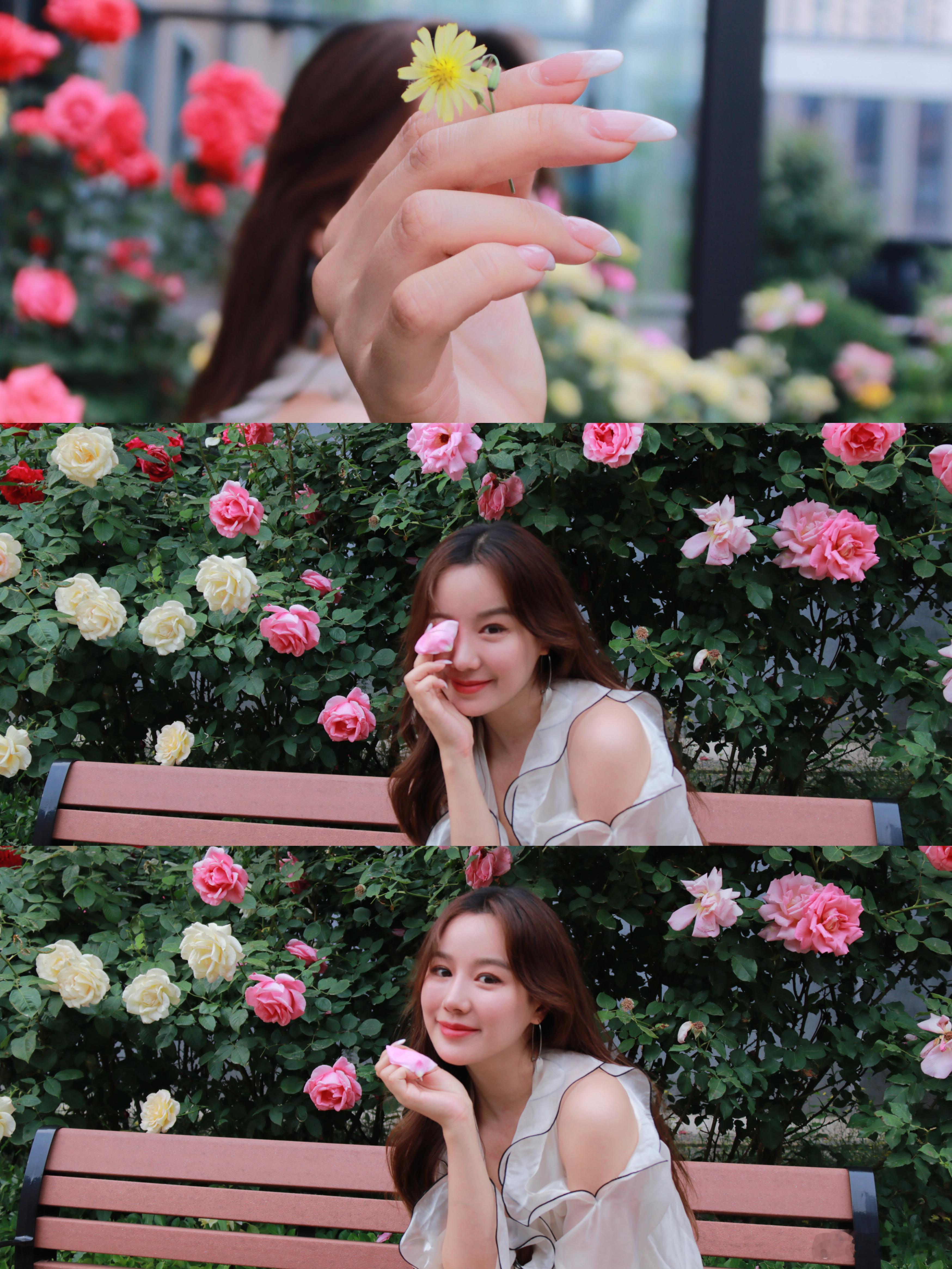 王歌[超话] 夏天当然要拍花啊[送花花] ​​​