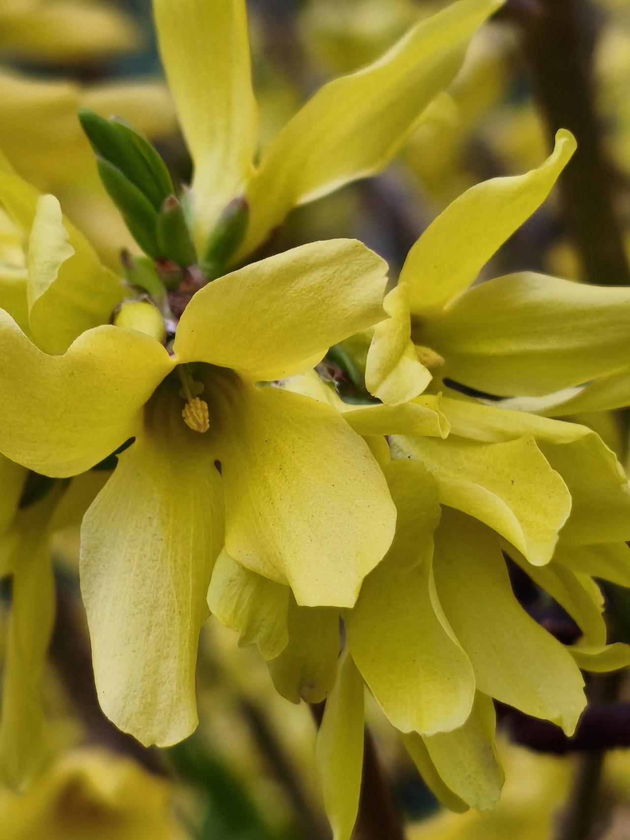 早上做早餐去拿鸡蛋，鸡蛋没了，又岀去买了盘鸡蛋，15元花出去了。

也不知从啥时