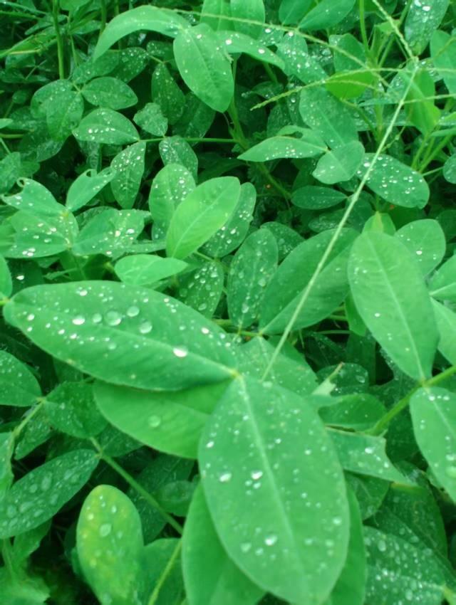好消息：江西省干旱已久今天终于下了一场及时雨，热的实在受不了，这场雨下得特别大，