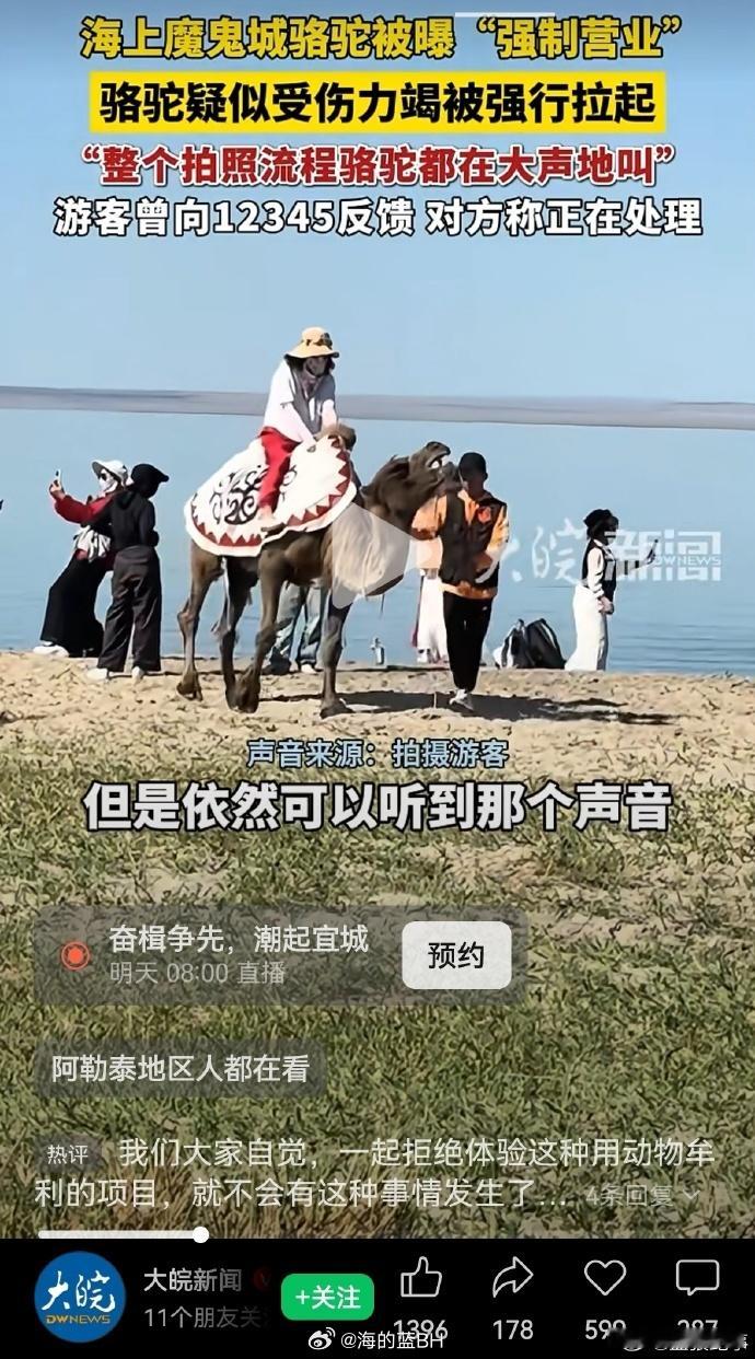 让消费有动能让市场增活力 不知道你们小编吃牛肉的吗？吃猪肉的吗？吃鸡肉的吗？这些