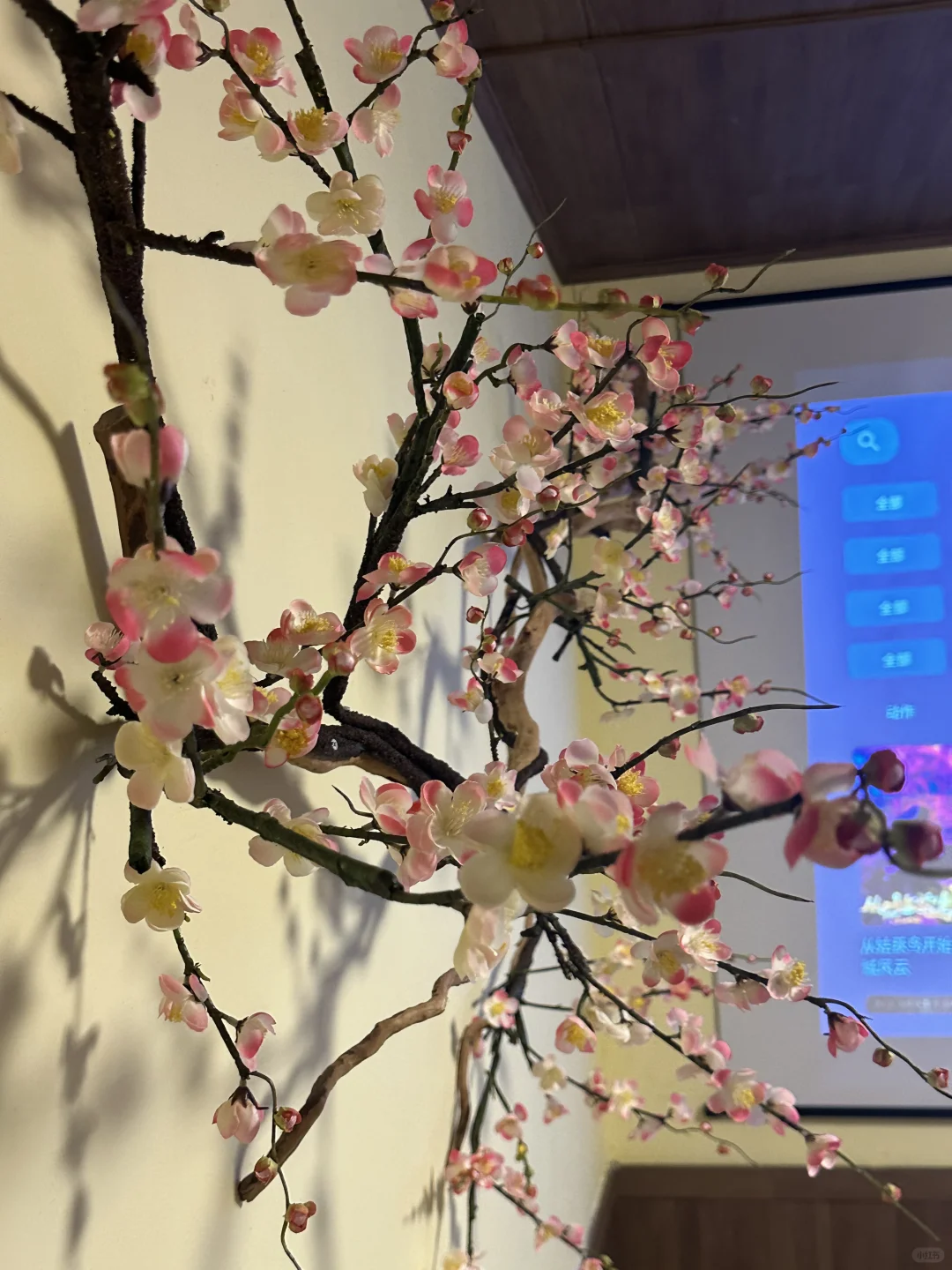 在佛山！玩过三次以上才舍得分享的店…