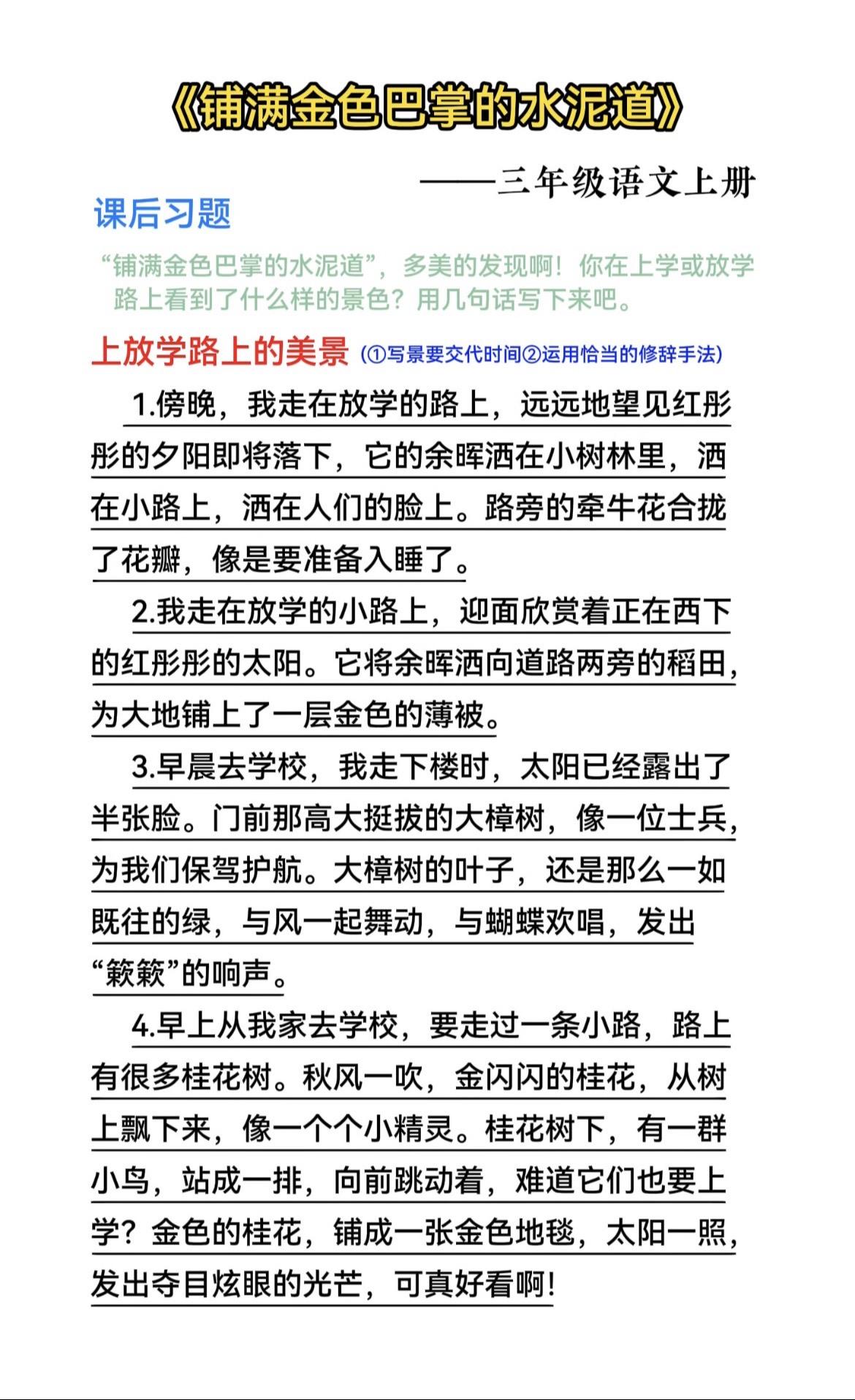 三年级上册语文《铺满金色巴掌的水泥路》课后习题小练笔。