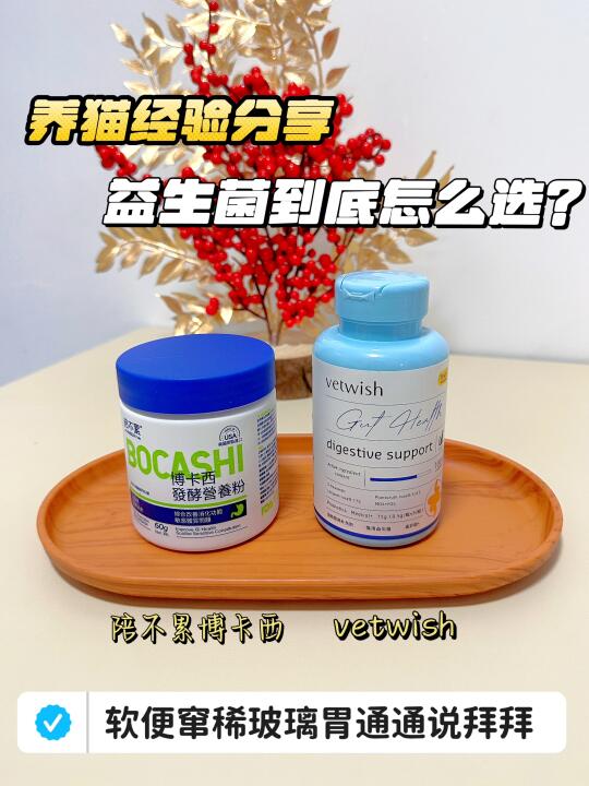 养猫经验分享｜玻璃胃小猫有救啦！