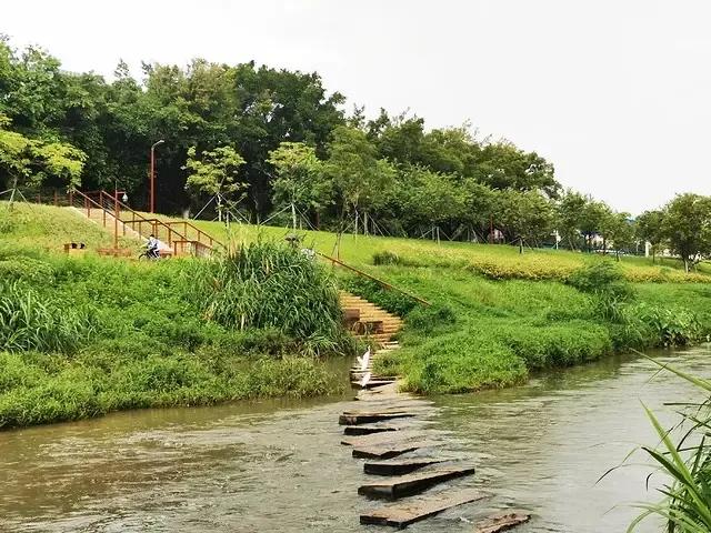 故乡的大沙河

临河先生
 
故乡的大沙河，大地的灵动脉络，
似梦的银弦，弹拨岁