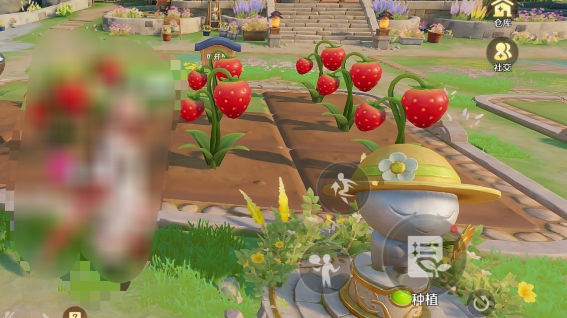 从小到大都致力于在腾讯的软件里种地 