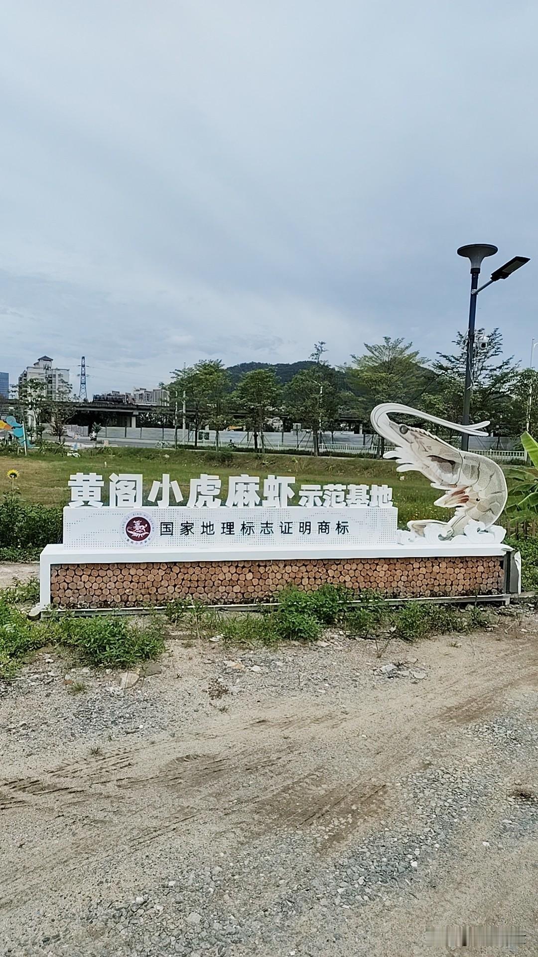 几近绝迹的地理性标志产物有救了！