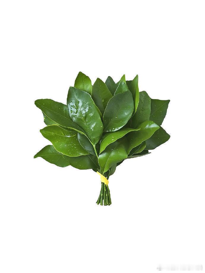 月底给自己去去晦气！下个月好运连连 