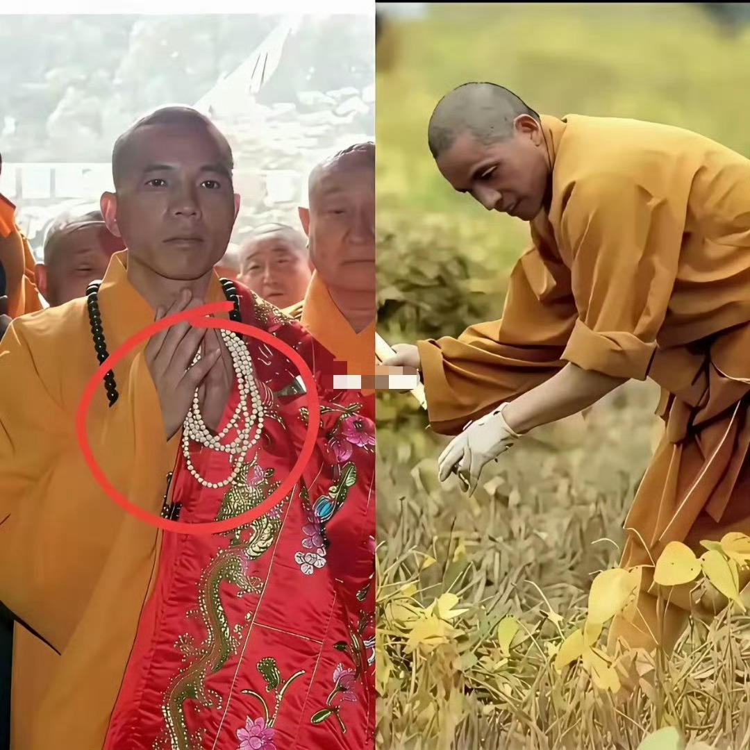 少林寺离职潮少林寺红利期结束[doge] ​​​