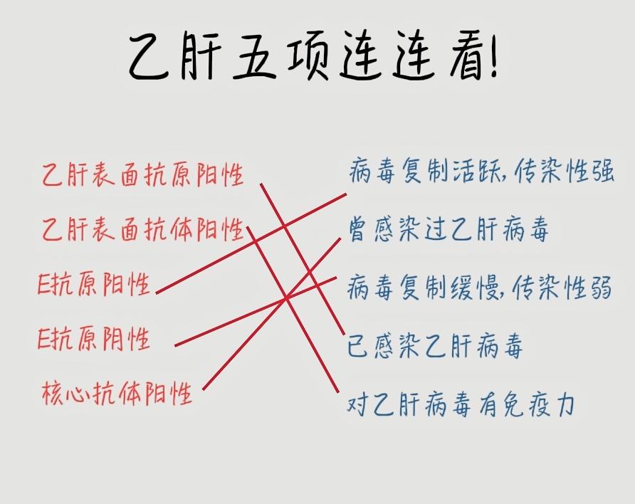 乙肝五项每一项应该怎样解读！1、3、5阳性是大三阳，病毒复制活跃，传染性强；
1、4、5阳性是小三阳，病毒复制缓慢，传染性弱；
2阳说明注射过乙肝疫苗，并产生了抗体，对乙肝病毒有免疫力；
5阳是乙肝既往感染的标志；
2、5和2、4、5阳性，说明此前曾感染过乙肝现在已经形成保护性抗体。