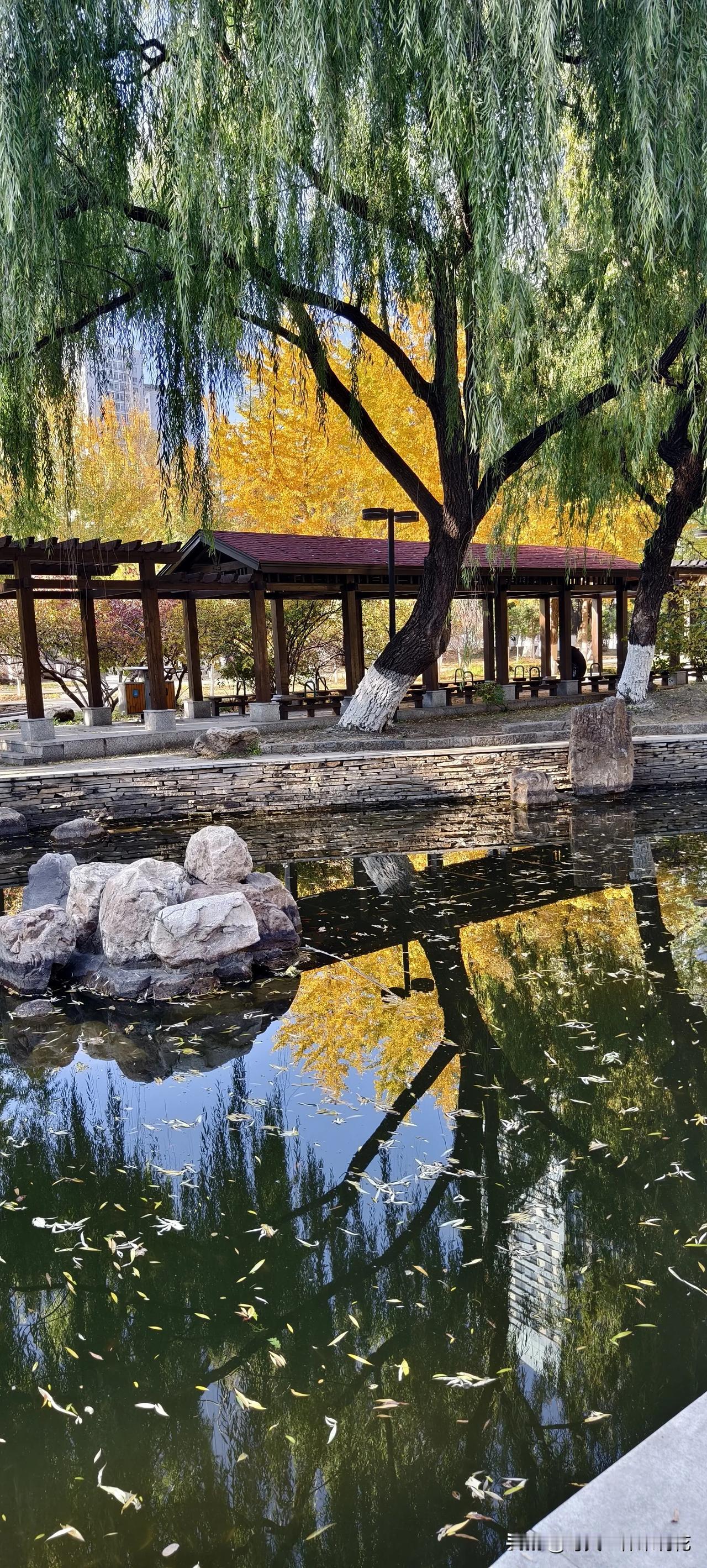 风景如画                               （原创）