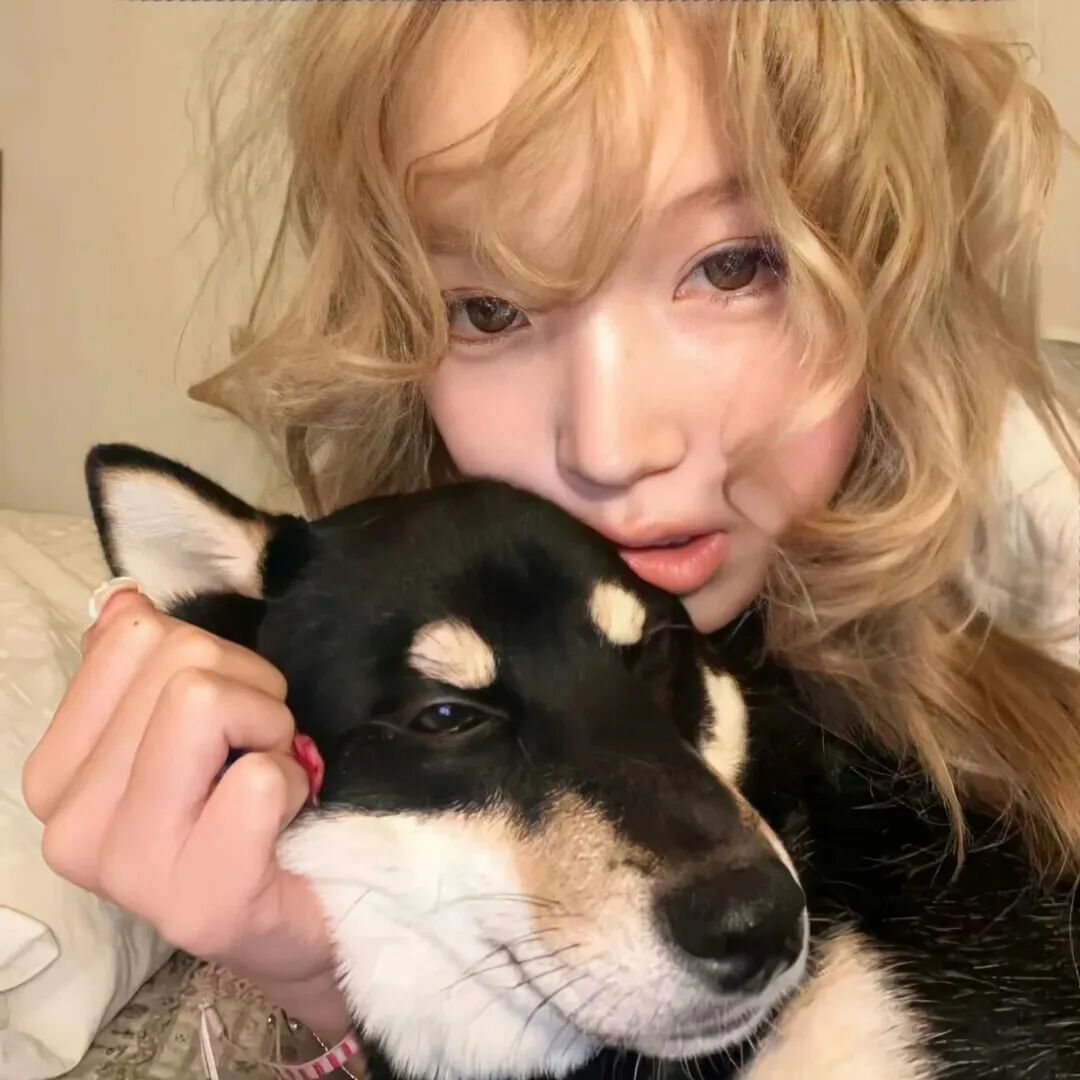 WeChat女头｜救命！被日常的甜狠狠拿捏✨ 