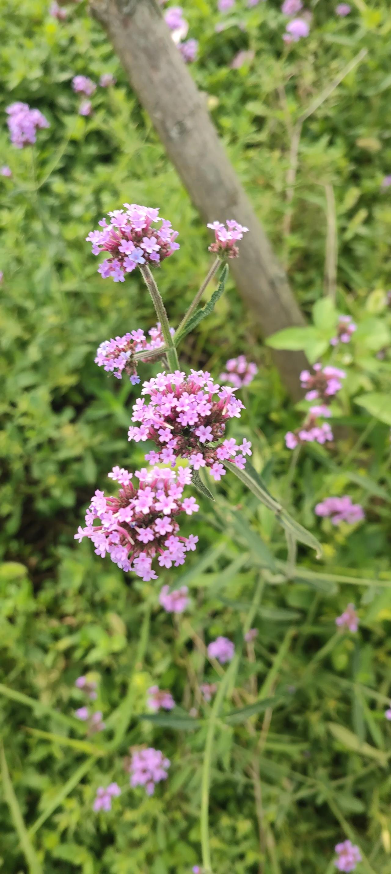 都说国足不行 教练不行 足协不行 体制不行 
要我说就是球迷不行
国足年年踢年年