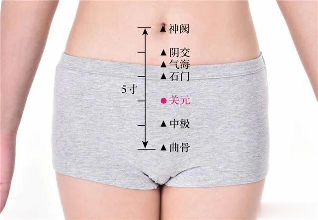 #寒露#寒露艾灸这些穴位，胜吃老母鸡加补药！1、灸“关元”——补阳气！   关元