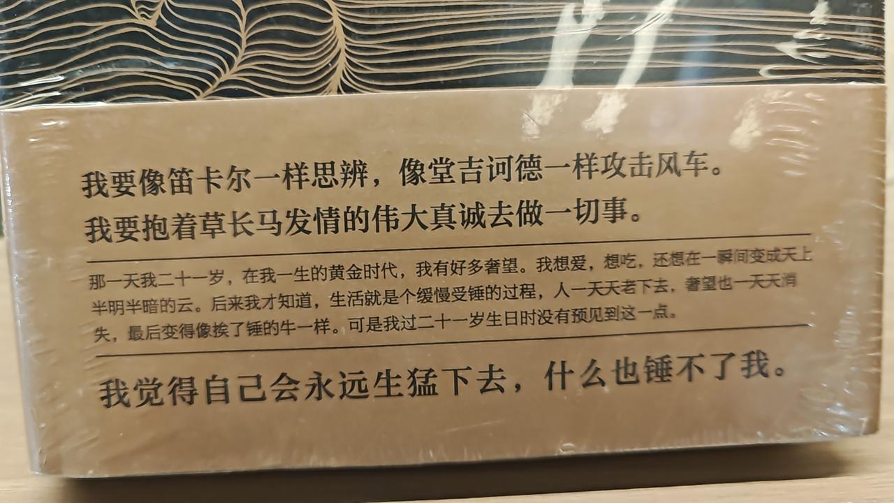 新年生活图鉴逛书城