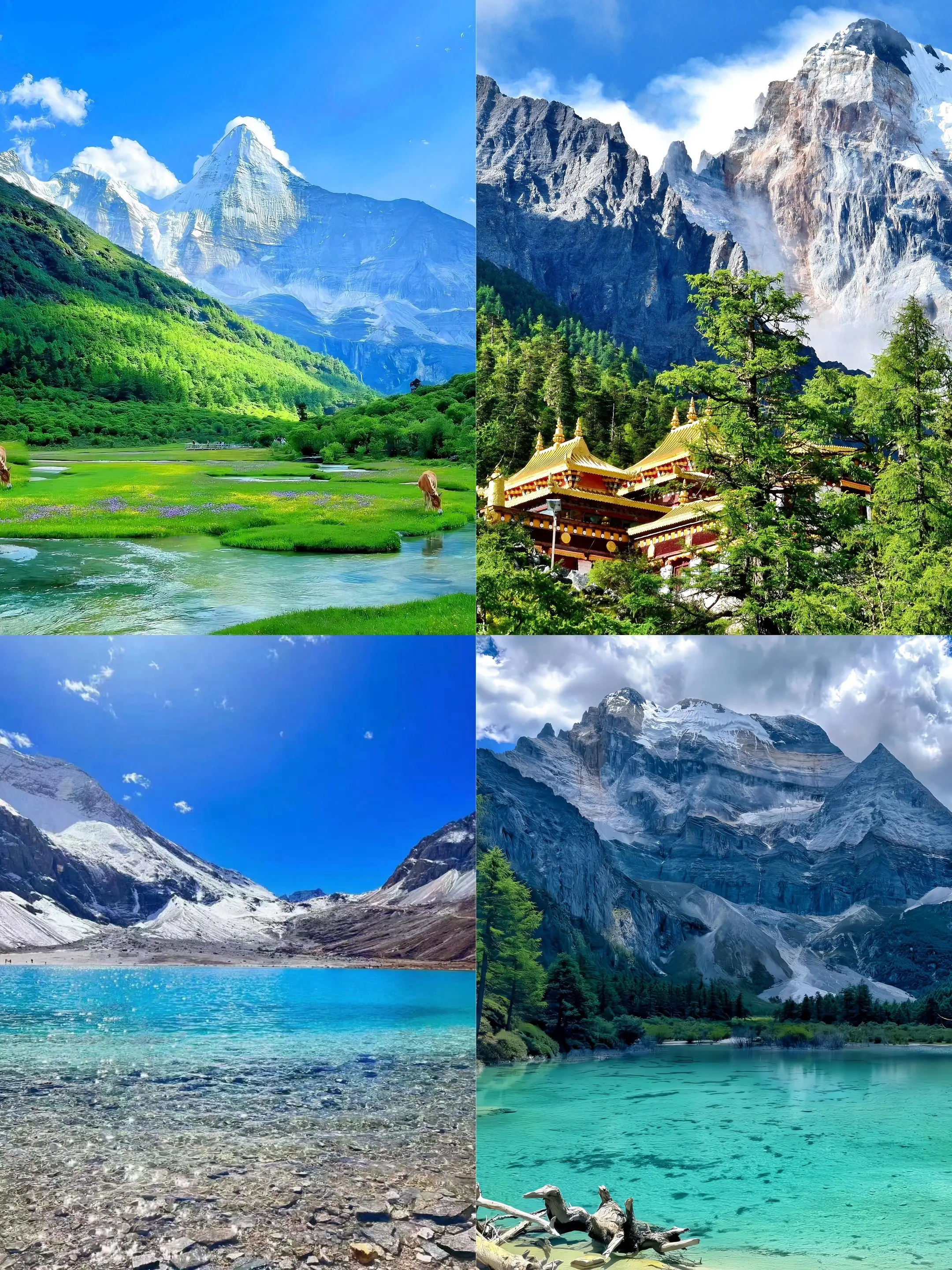 我希望有个如你一般的人。“稻城亚丁超美的四个景点”你最想和谁一起去？