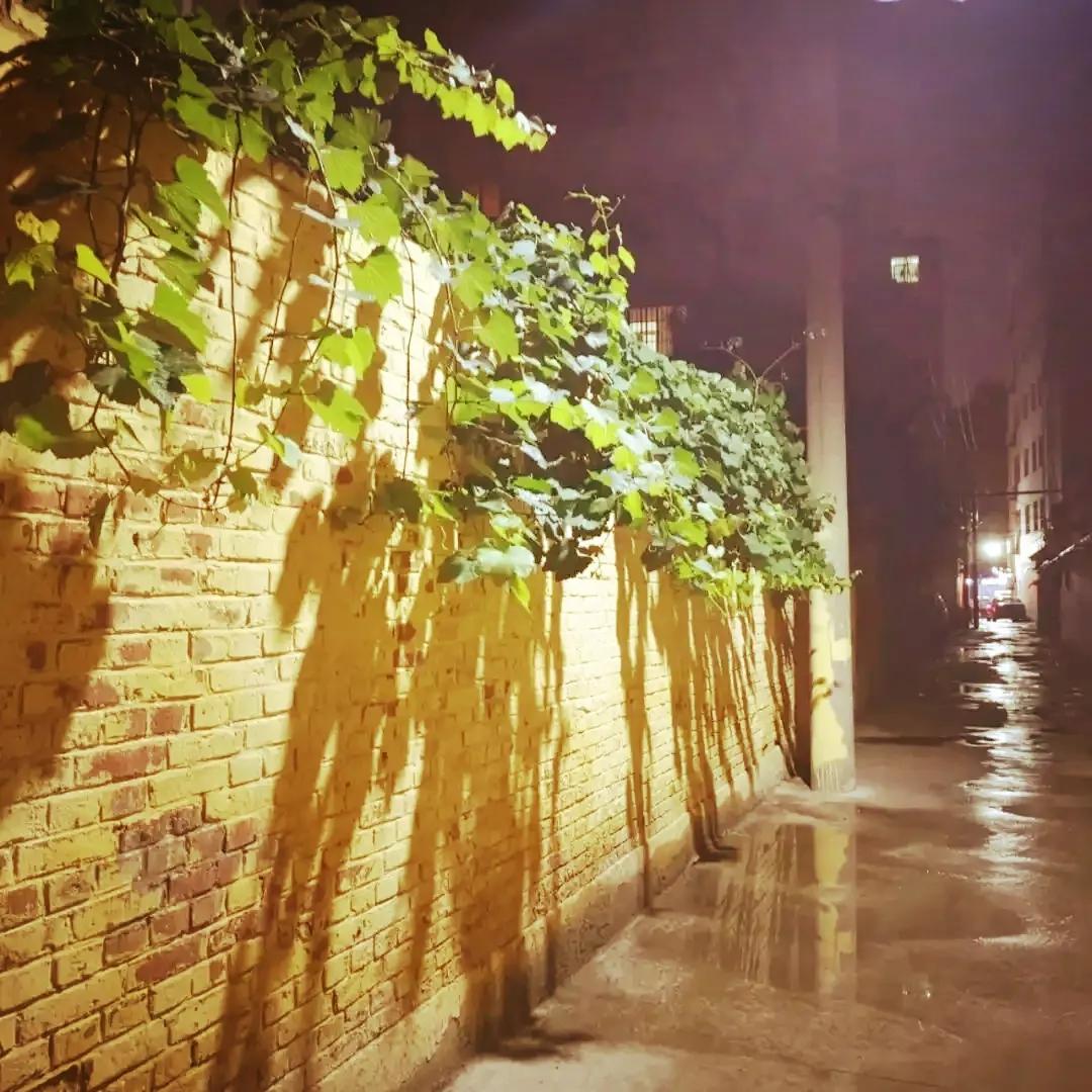 我从50岁开始，害怕夜晚来临，不愿上床，夜晚醒来凄凉与孤独，盼天明。不知有没有和