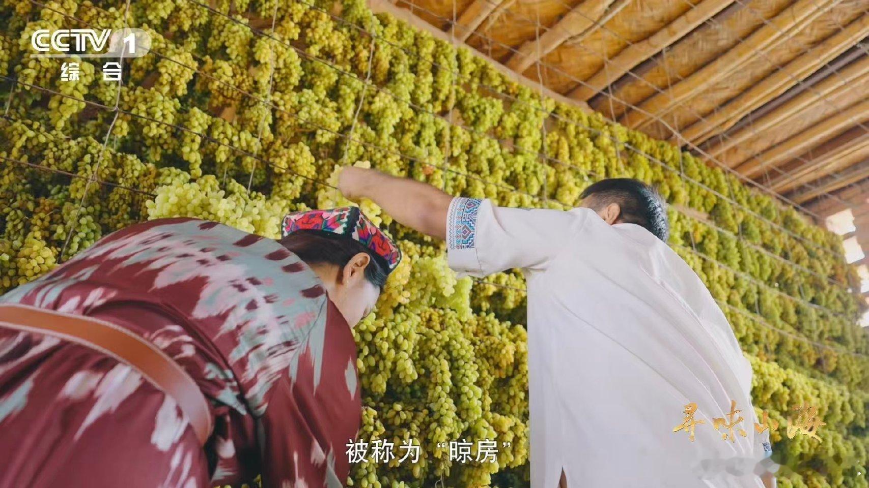 吐鲁番有500余种葡萄干吐鲁番不愧是中国葡萄干“甜蜜心脏”！90%全国产量加上5