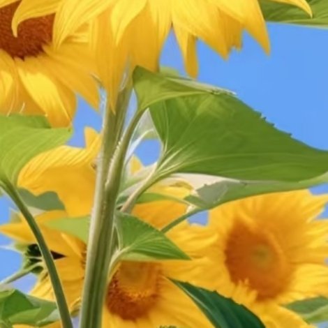 生命的天空里，有风和日丽，亦有云遮雾障。不是每轮艳阳都暖人，不是每片乌云都下雨。