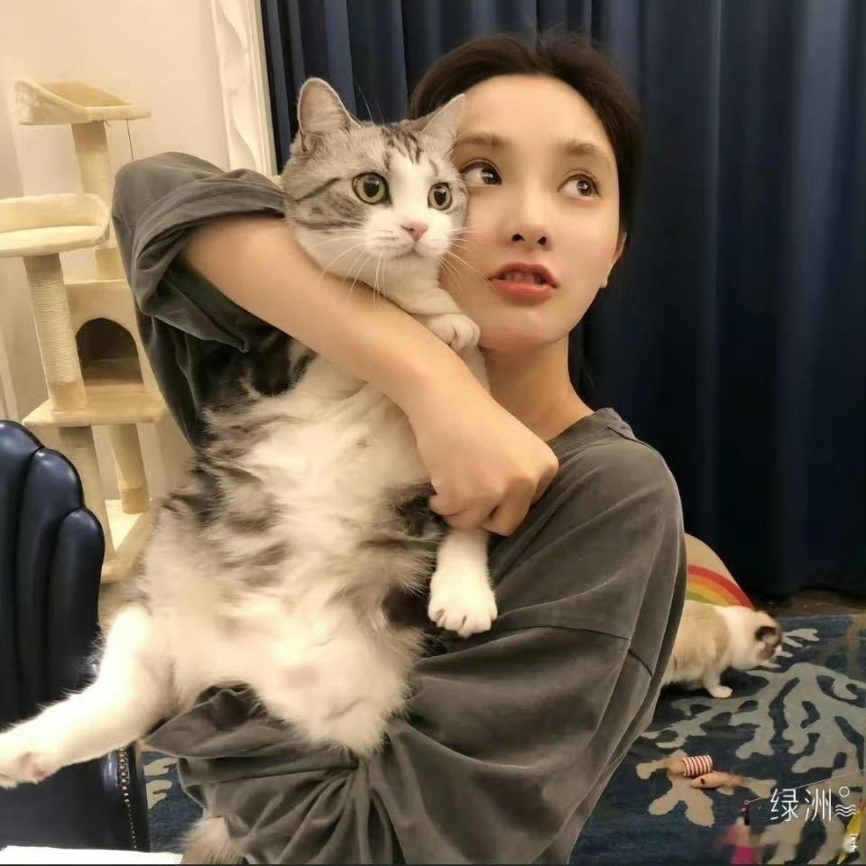 彭小苒曾在横店收养流浪猫 被彭小苒的善意治愈！横店拍戏不忘收养流浪猫，给福福安稳