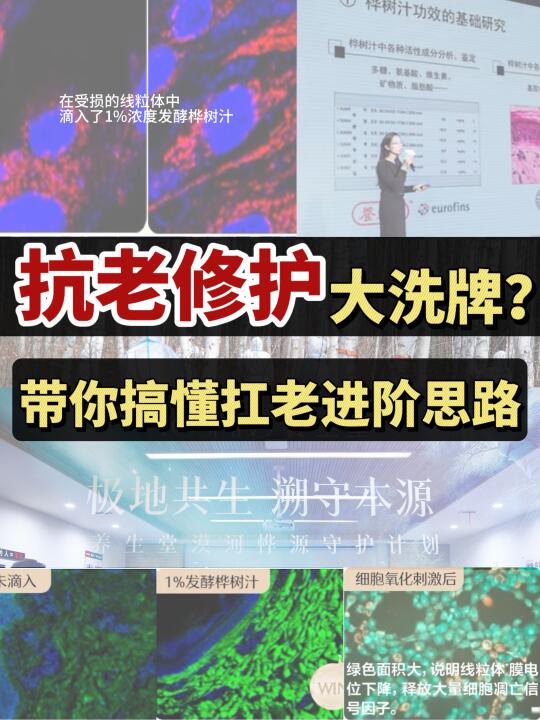 酒香也怕巷子深！细扒国货抗老界的扫地僧