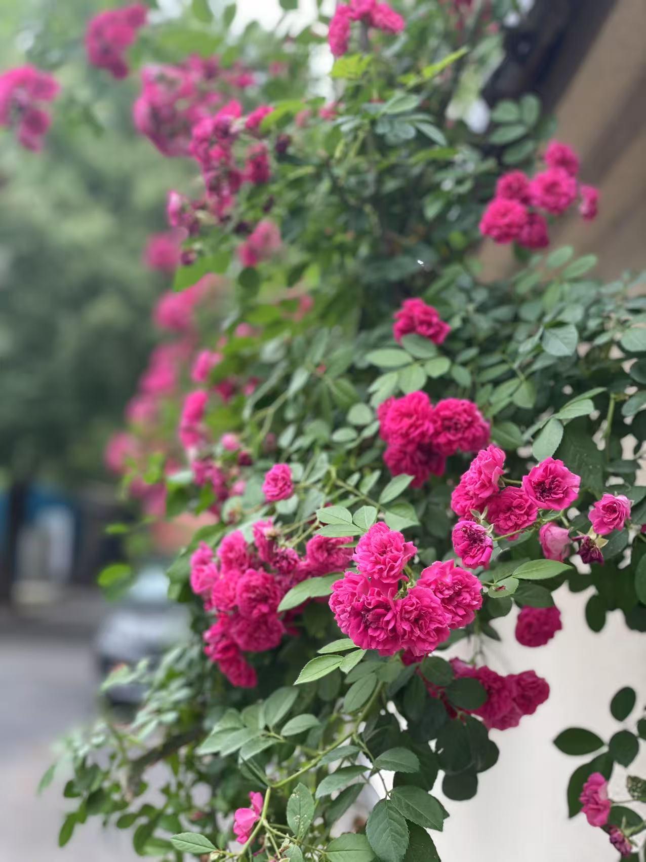 儿子最近迷上了写小说，逮到时间就在那写上一点。
晚自习接他回家的路上，他在车上将