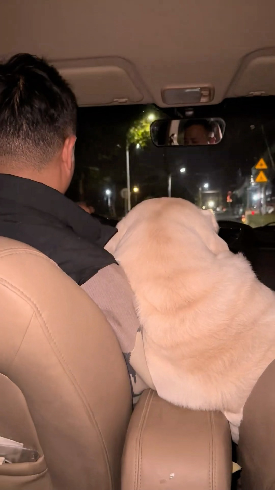 谁的副驾驶还没有个小可爱