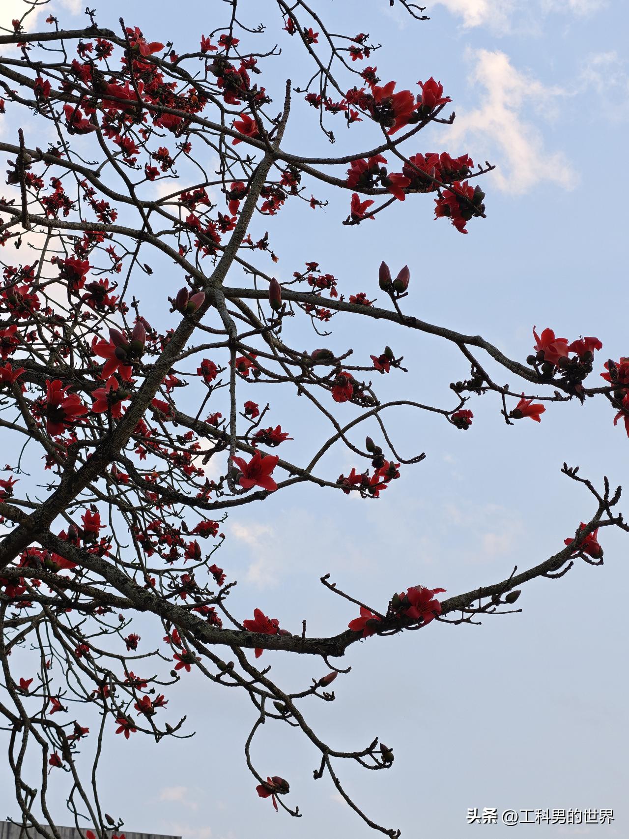 女人一定要跟正能量的女人在一起。
我爱人认识了一个研究生，是娃娃同班同学的妈妈。