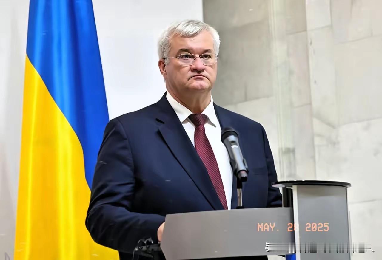 当年听美国的信誓旦旦，现在落魄了想起中国了？晚了！乌克兰这步棋走得太丑陋。一边把