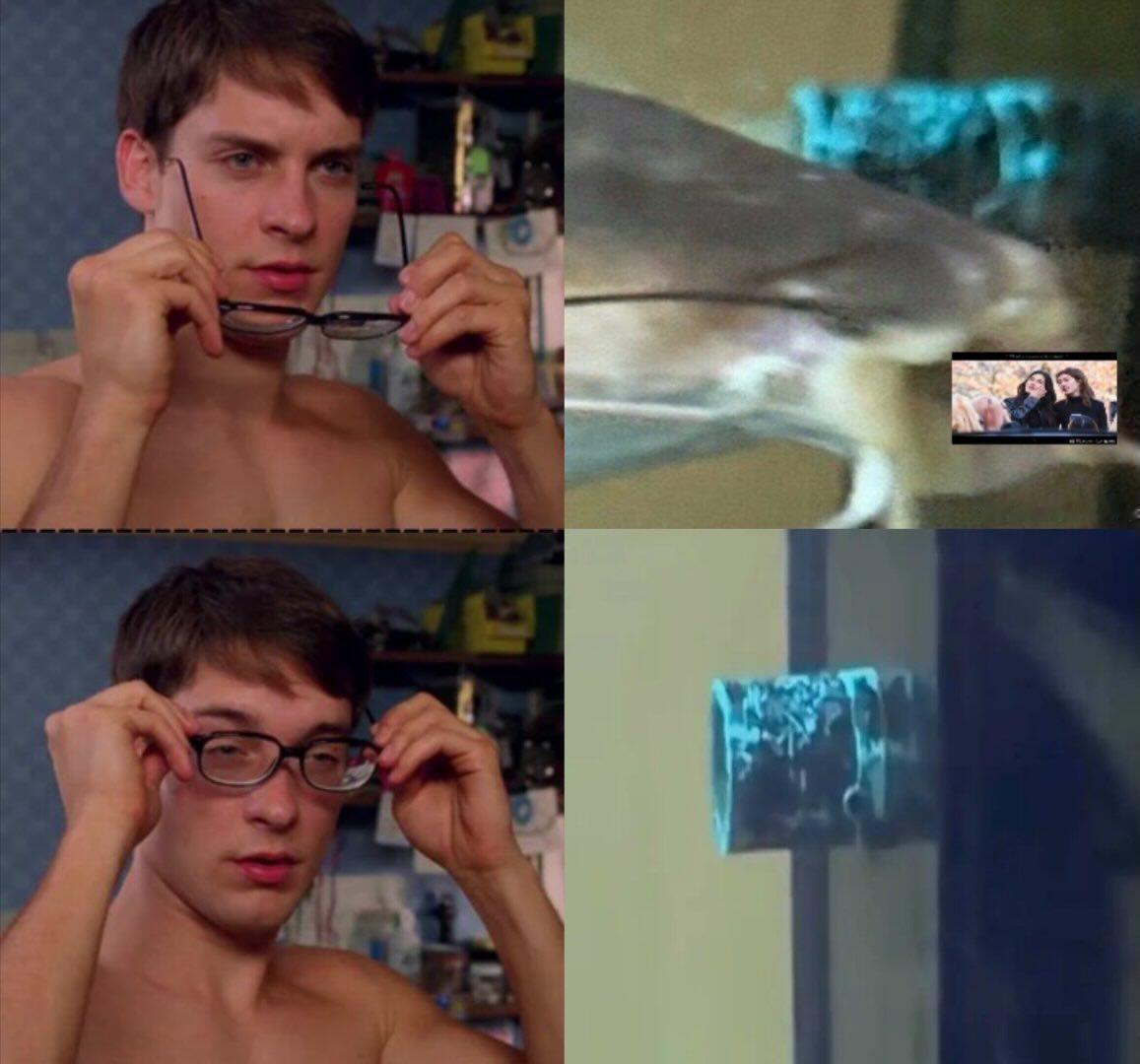 笑的难受 
