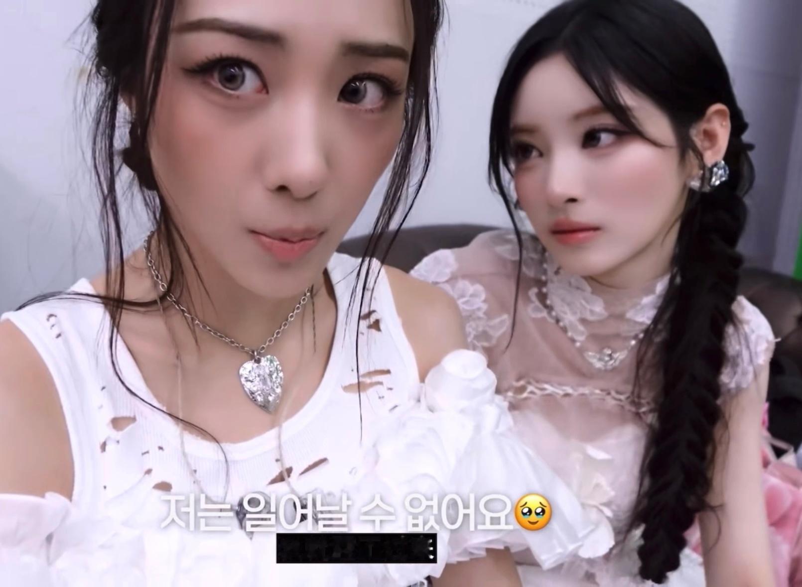 圆眼睛 兔子盯 