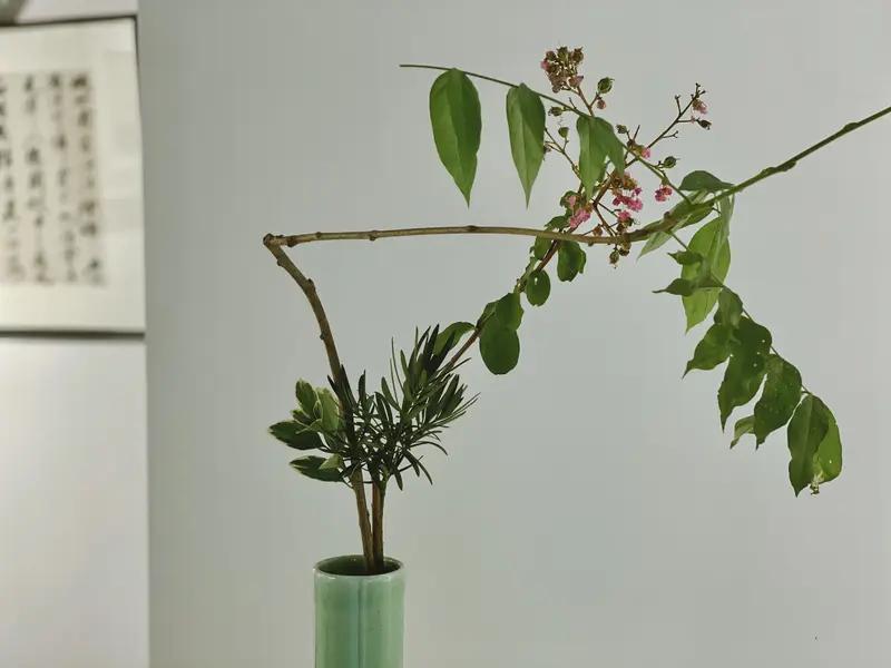 收到友这般细腻、内涵丰赡且精炼的雅评，我着实感动至极。友在分析文章时，将对比衬托