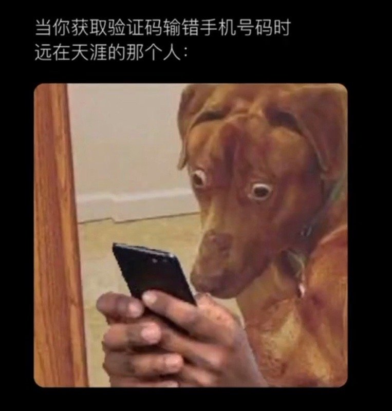 #验证码输错手机号的后果#人在家里坐 锅从天上来[doge]#新年快乐漫游指南#