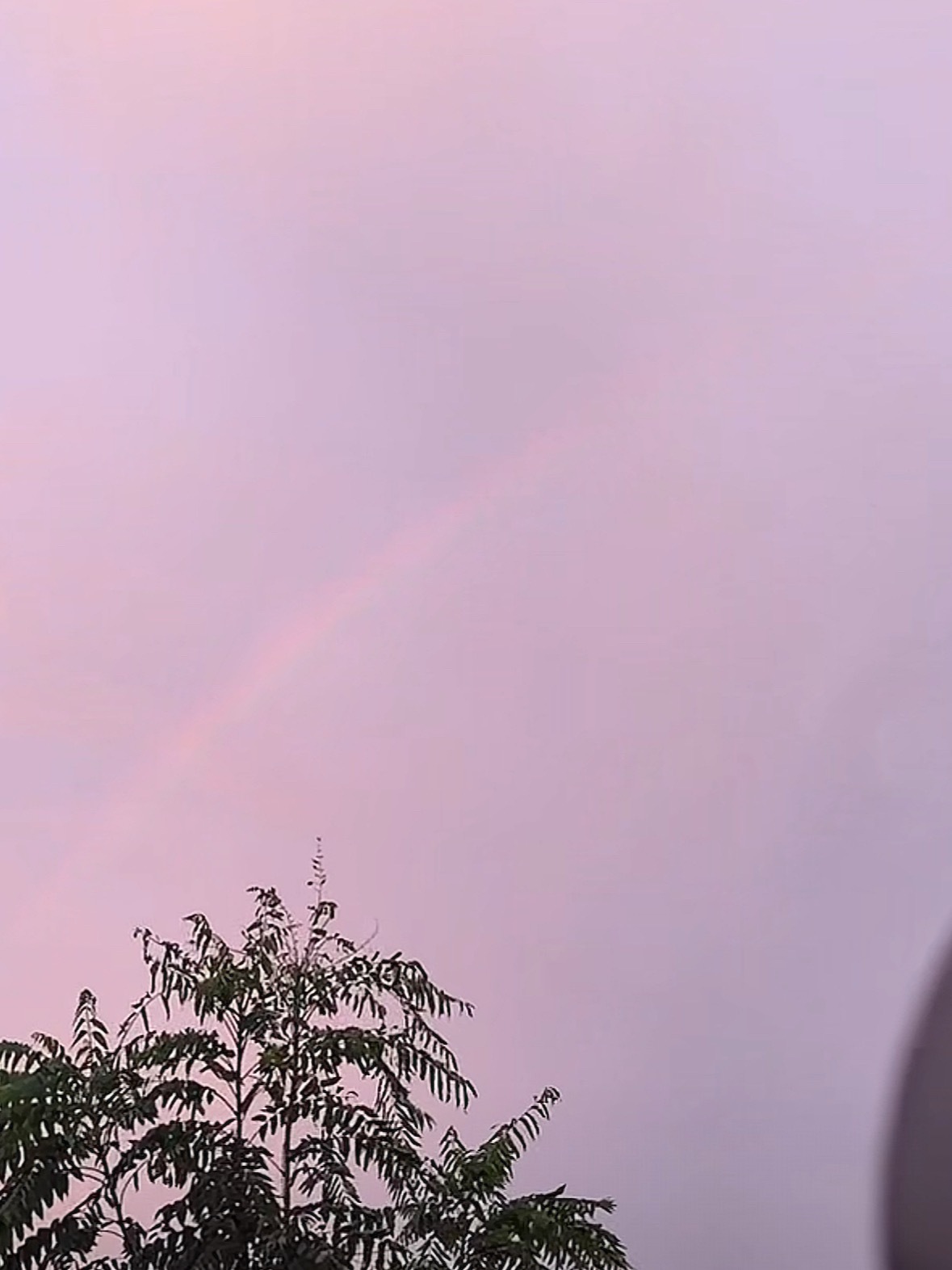 朝霞和彩虹🌈 这个长生骨大事很蚌！ 