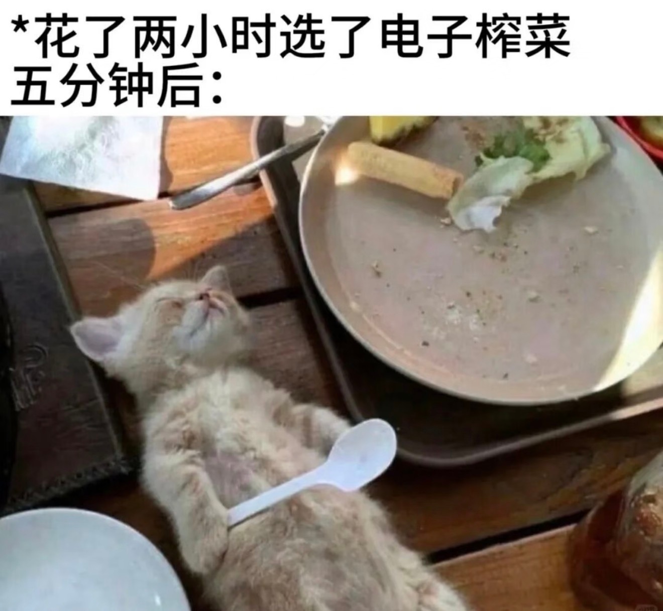 爱奇艺广告 毒枭折磨卧底小猕猴桃你咋了啊！！！？疯掉了