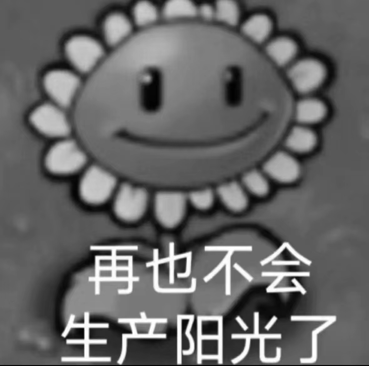 #故事填空题#电梯上，一个小女孩伸手摸了摸你养的柯基，你并没有反对，突然小女孩的