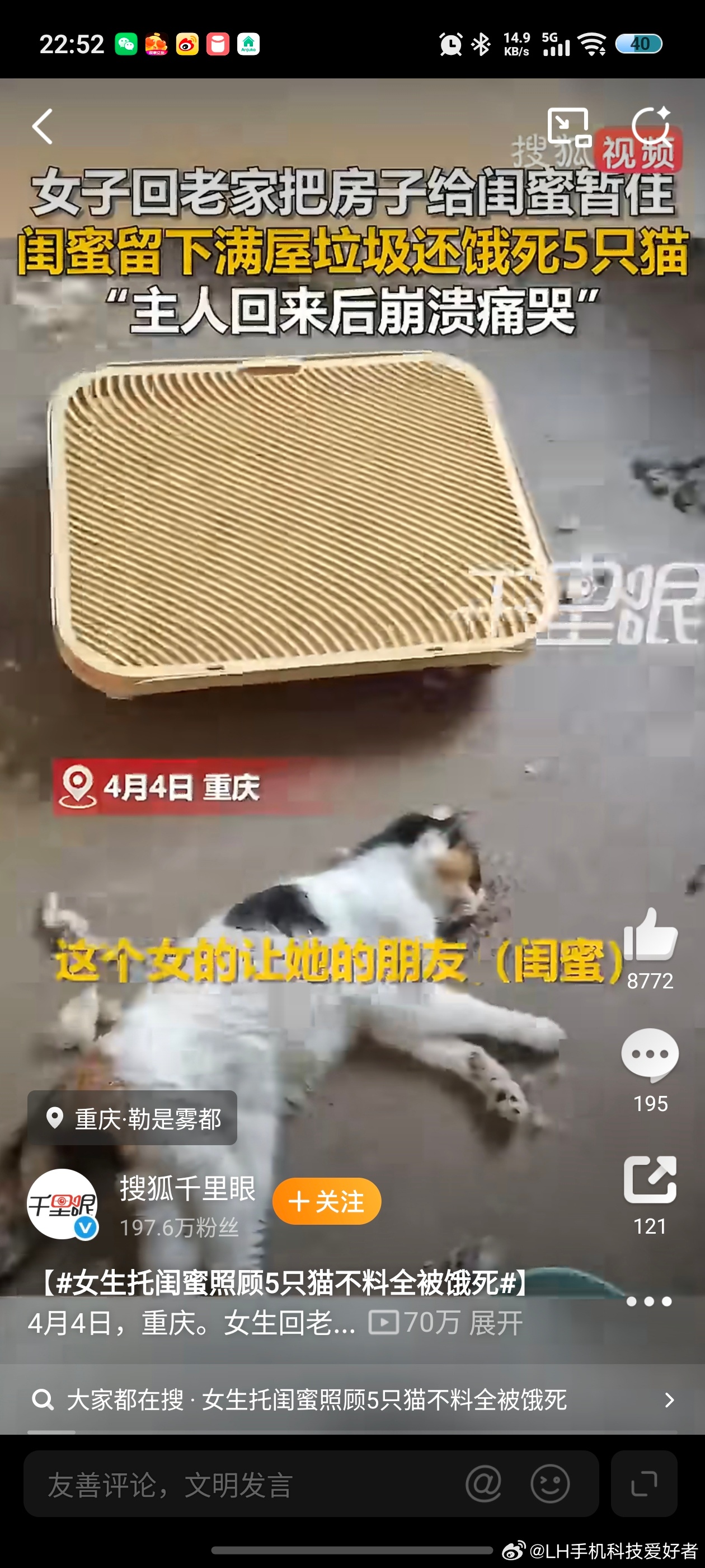 女生托闺蜜照顾5只猫不料全被饿死我去，五只猫交给别人喂养，最终还都饿死了，这是压