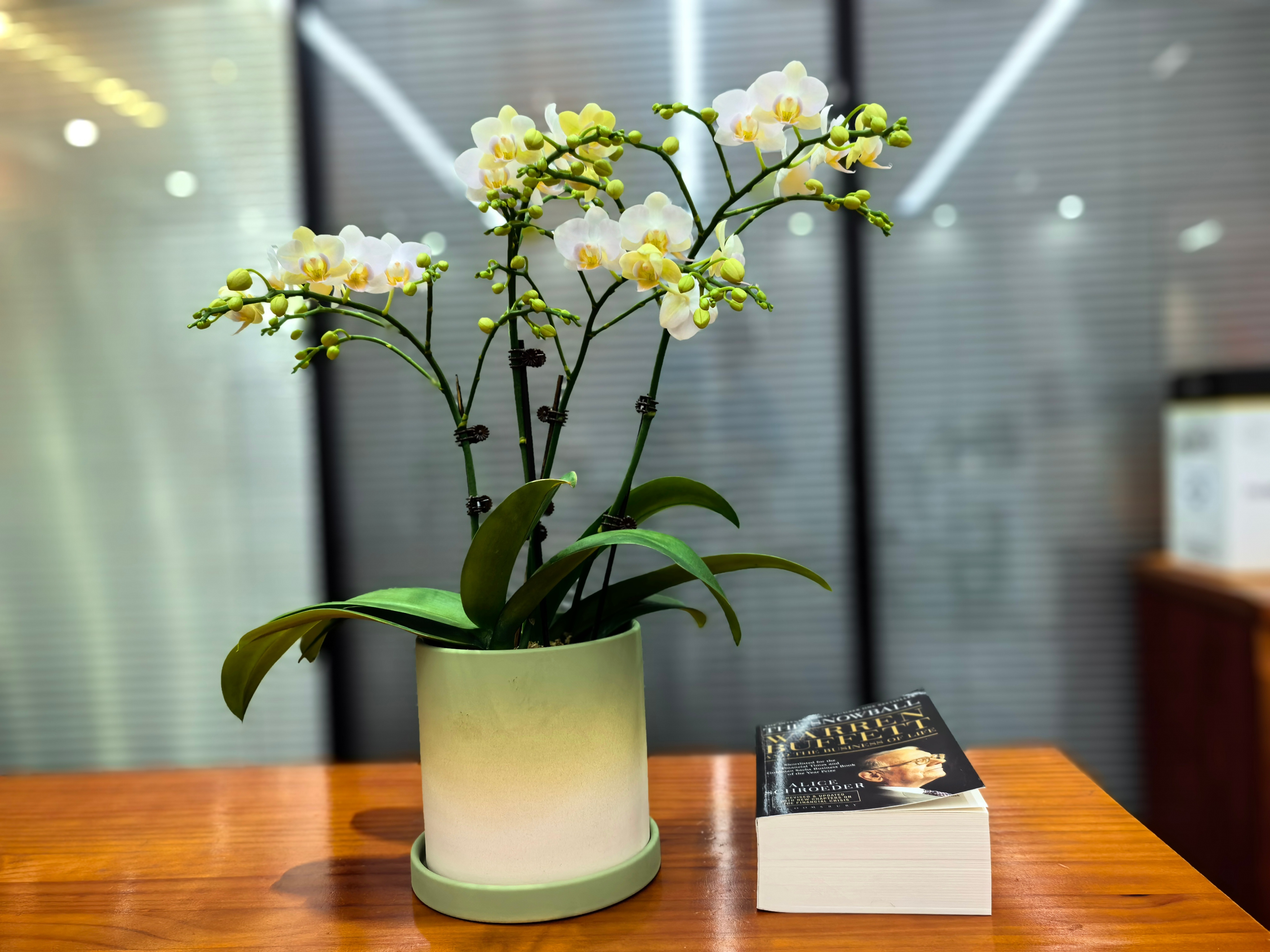 自我一点如果你是每个人的朋友，那你就是自己的敌人。---拳王泰森说(一)越来越多