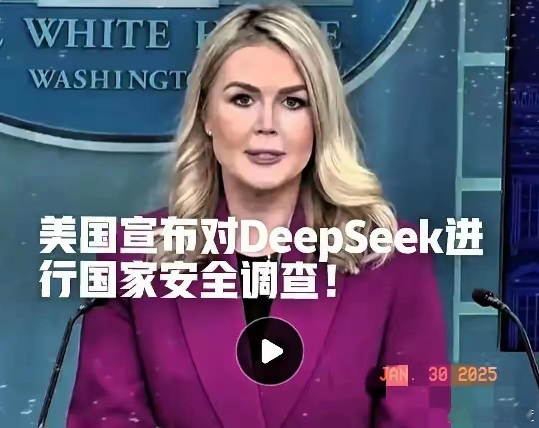 【又是污蔑“偷窃”。又是启动调查，太可恶！ 多国给DeepSeek使用设限 】 