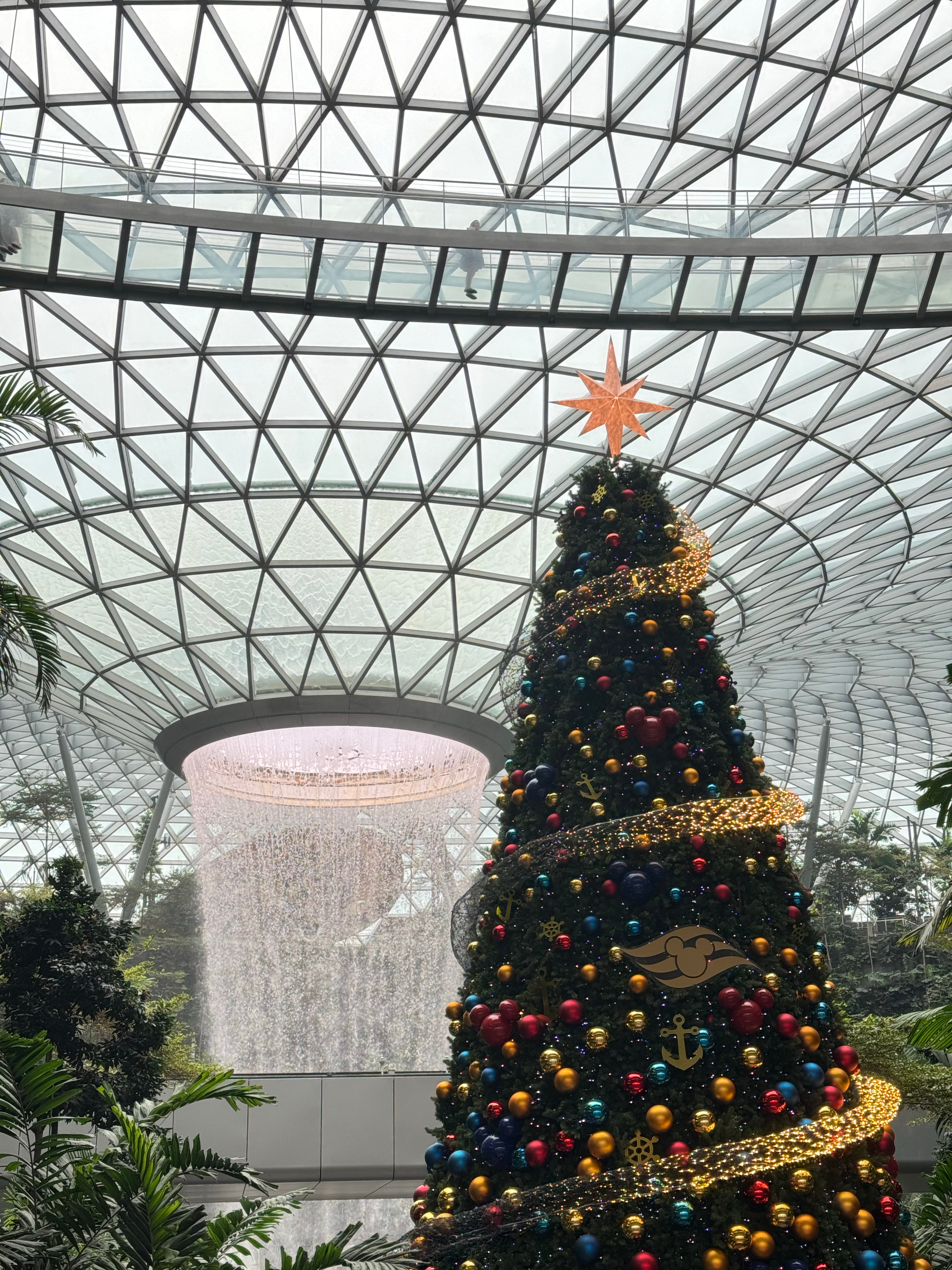 🪄🎄◟✦✩‧₊˚🔔ᵎᵎ又一年圣诞 